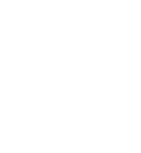 gates_and_controls_logo_w